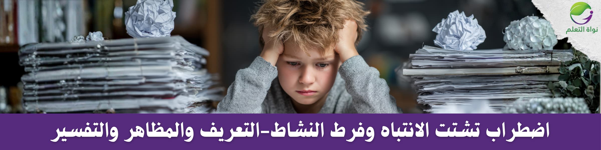 Attention-Deficit/Hyperactivity Disorder (ADHD) – Features and Theoretical Perspectives